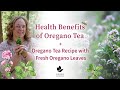 Health benefits of oregano tea  oregano tea recipe with fresh oregano leaves