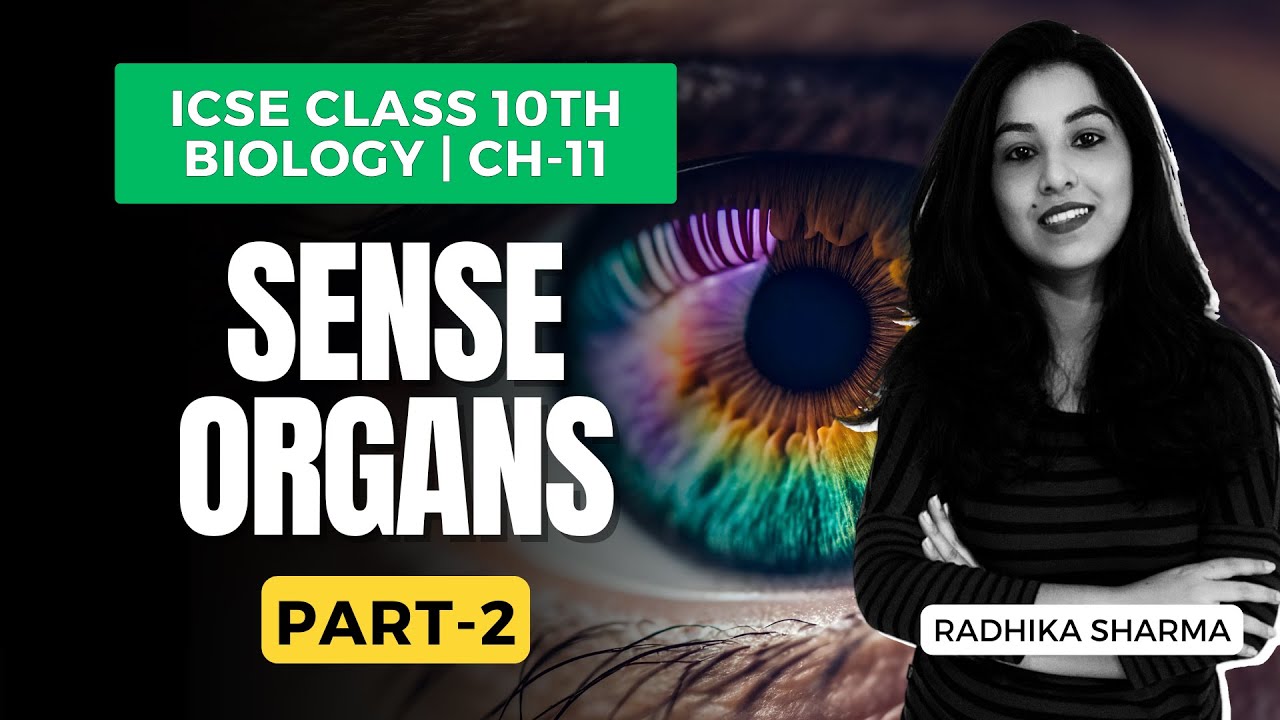 Sense Organs | Biology Mastery Intensive ICSE CLASS 10 | CH-11 | PART 2 ...