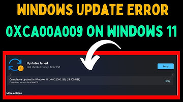 How to Fix Windows Update Error 0xCA00A009 on Windows 11