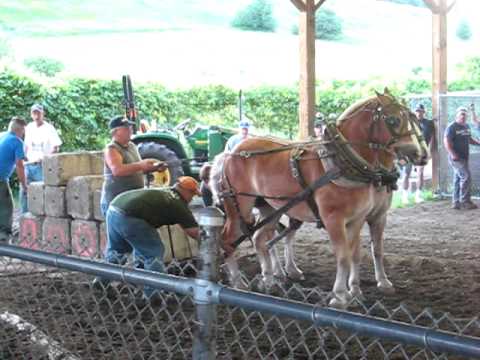 vermont horse pulling