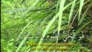 Zikir Al-Istigfar - Ustaz Amal (Astro Oasis)