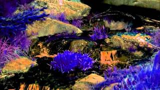 8 Hour Magic Spell - Dragon Energy Summoning Spell - Solfeggio, Binaural Beat, Mideaval, Meditation 8 Hour Magic Spell - Dragon Energy Summoning Spell - Solfeggio, Binaural Beat, Mideaval, Meditation