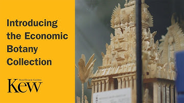 Introducing the Economic Botany Collection | Kew