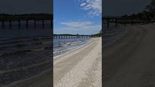 Shell Beach at Vereen Gardens | Ancient Shoreline on the SC/NC Border