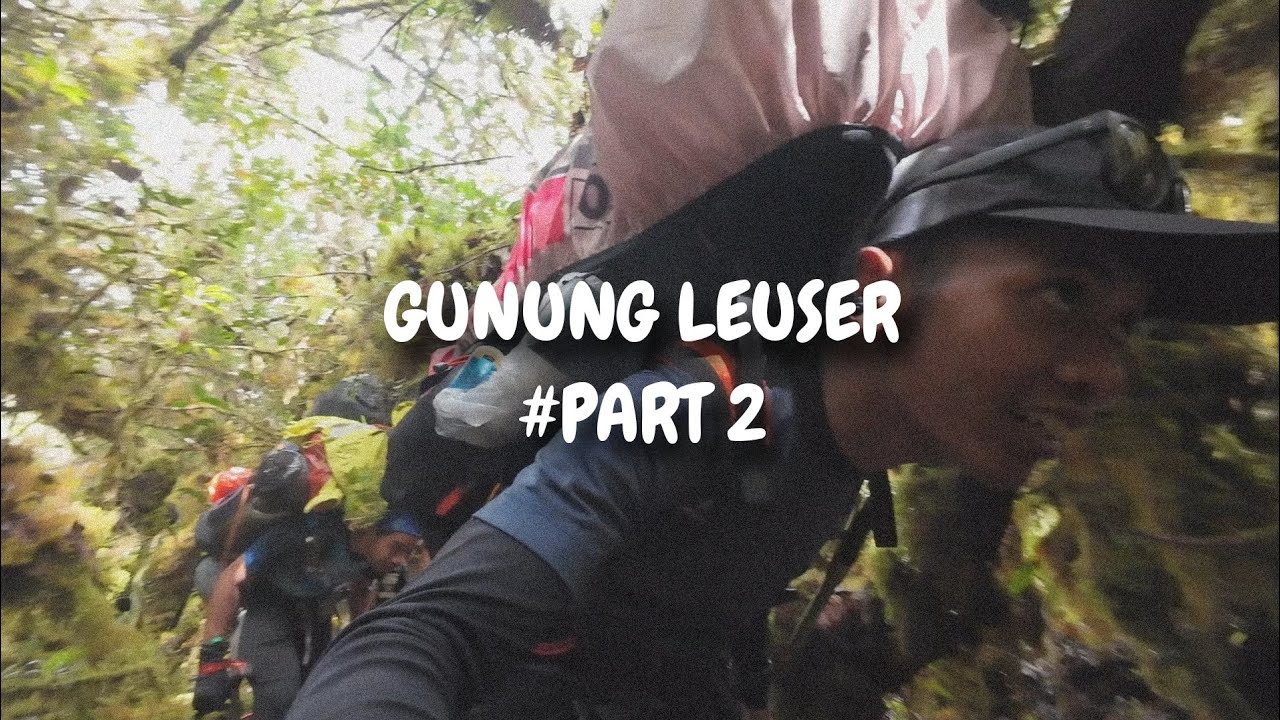 Pendakian gunung leuser || Puncak Gunung Angkasan