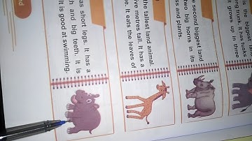 Primary "2" Connect plus  Unit 9 "Along the Nile  Part"2"