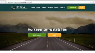 How to use eureka