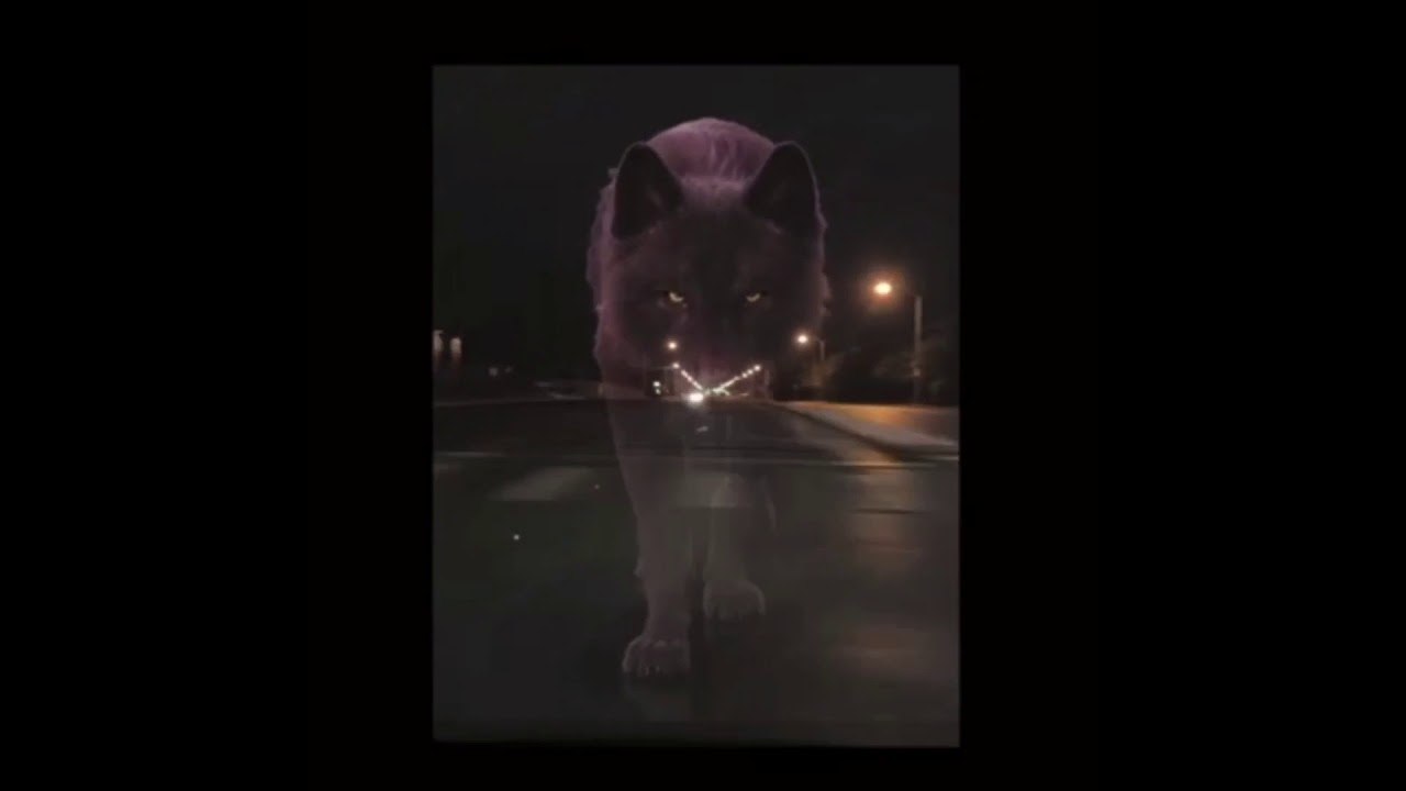 No Face D - Alpha Freestyle