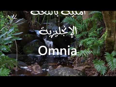معنى أسم امنية 