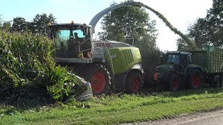 Lohnunternehmen Everink in de mais met Claas Jaguar 940 en 2 Fendt 716 Vario's (2017)