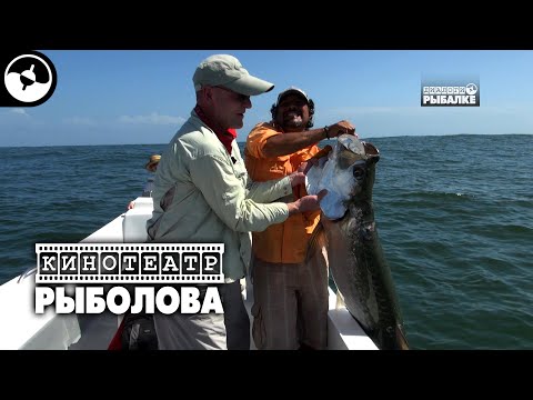 Морская рыбалка. Трофейный тарпон | Кинотеатр рыболова