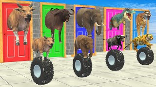 Choose The Right Door With Tire And Win With Elephant, Cow, Tiger, Gorilla Buffalo Wild Animals 2023