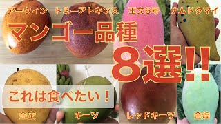 【マンゴー必見！】絶対に食べたいマンゴー8品種！生産者が伝える「美味しいマンゴー」食べ比べ・切り方【沢山の品種があります！】