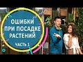 Ошибки при посадке растений. Интервью с Алексеем Соловьёвым. Серия 1