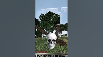 Minecraft Has Real Physics 💀 #minecraft #shorts