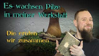 Pilz Drechseln Sie Wachsen Nicht Nur Im Wald