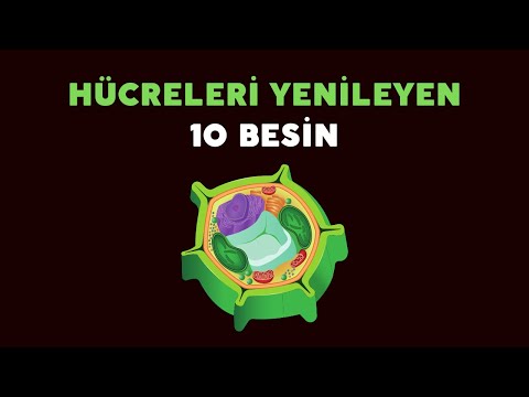 Kışın Tüketildiğinde Hücreleri Yenileyen 10 Besin