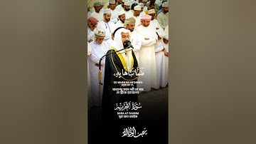 بداية سورة التحريم Surah At-Tahrim #عبدالولي_الاركاني #abdulwali_alarkani