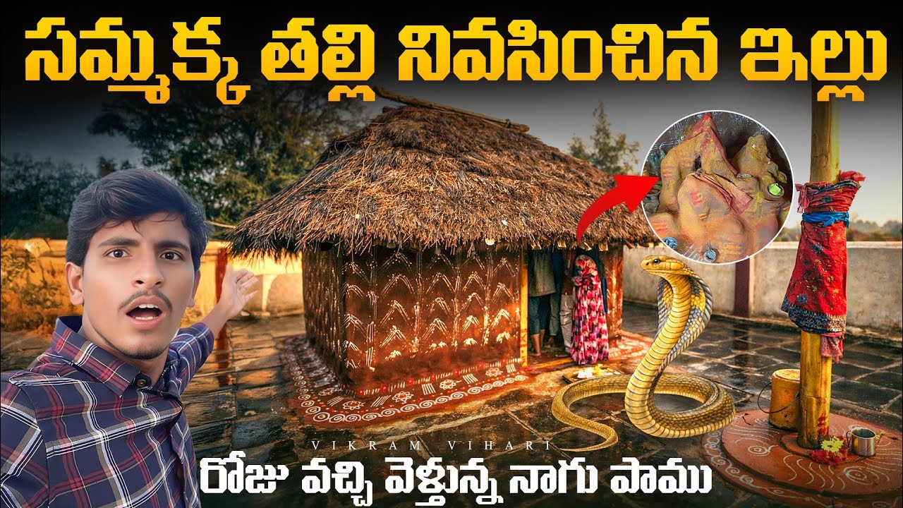 🚨మనం వీడియో తియ్యడం వలన ఇలా మారిపోయిందా || లోపల ఉన్న నాగుపాము కనిపిస్తే అదృష్టం 🙄🙏🙏