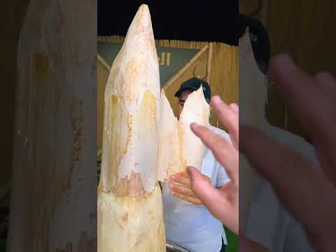 قلب النخلة الجمار وش الاسامي بعد