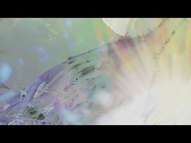 Watch callasoiled - mukuro on YouTube Watch callasoiled - mukuro on YouTube