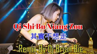 Qi Shi Bu Xiang Zou  - 其實不想走 (Electro Manyao) By Dj Brian Bie #dj抖音版2023