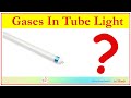 Gases in Tube light || Its Fact Shorts