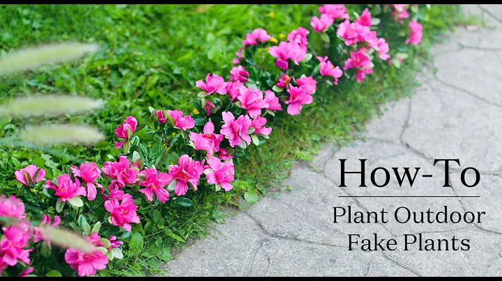 How to Plant Outdoor Fake Plants - DayDayNews