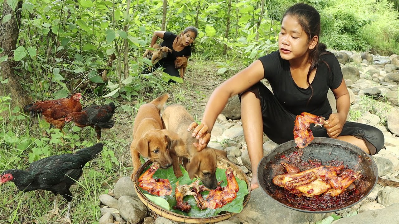 Survival skills: Catch chicken with smart puppies- Chicken braised spicy delicious for food with dog