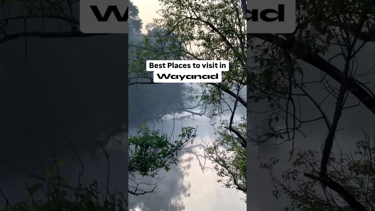 Wayanad Travel Guide 🌿 Top Must-Visit Places in 2026! 