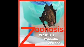 Zoonosis: What is a Zoonotic Disease? screenshot 5