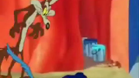 Quando il Coyote prende bip bip?