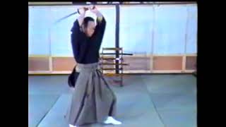 Hontai Yoshin-ryu (Iaijutsu, kenjutsu, wakizashi, jo, hanbo, bo)