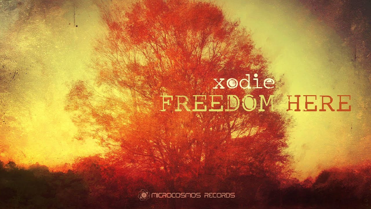 Watch Xodie - Womb on YouTube Watch Xodie - Womb on YouTube