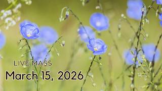 March 15, 2026 - Fourth Sunday of Lent