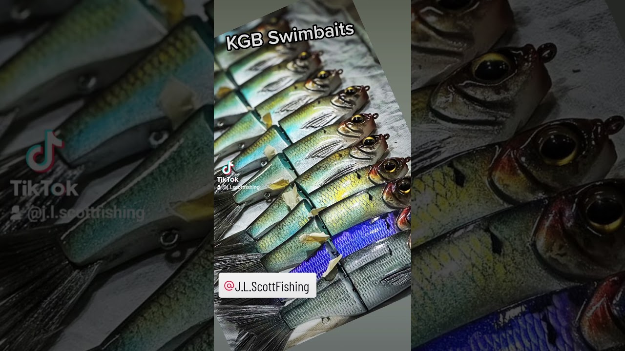 Swimbait Bass Fishing 🏆 Chad's KGB #bassfishing #basspro #fishingtips #swimbait #glidebait