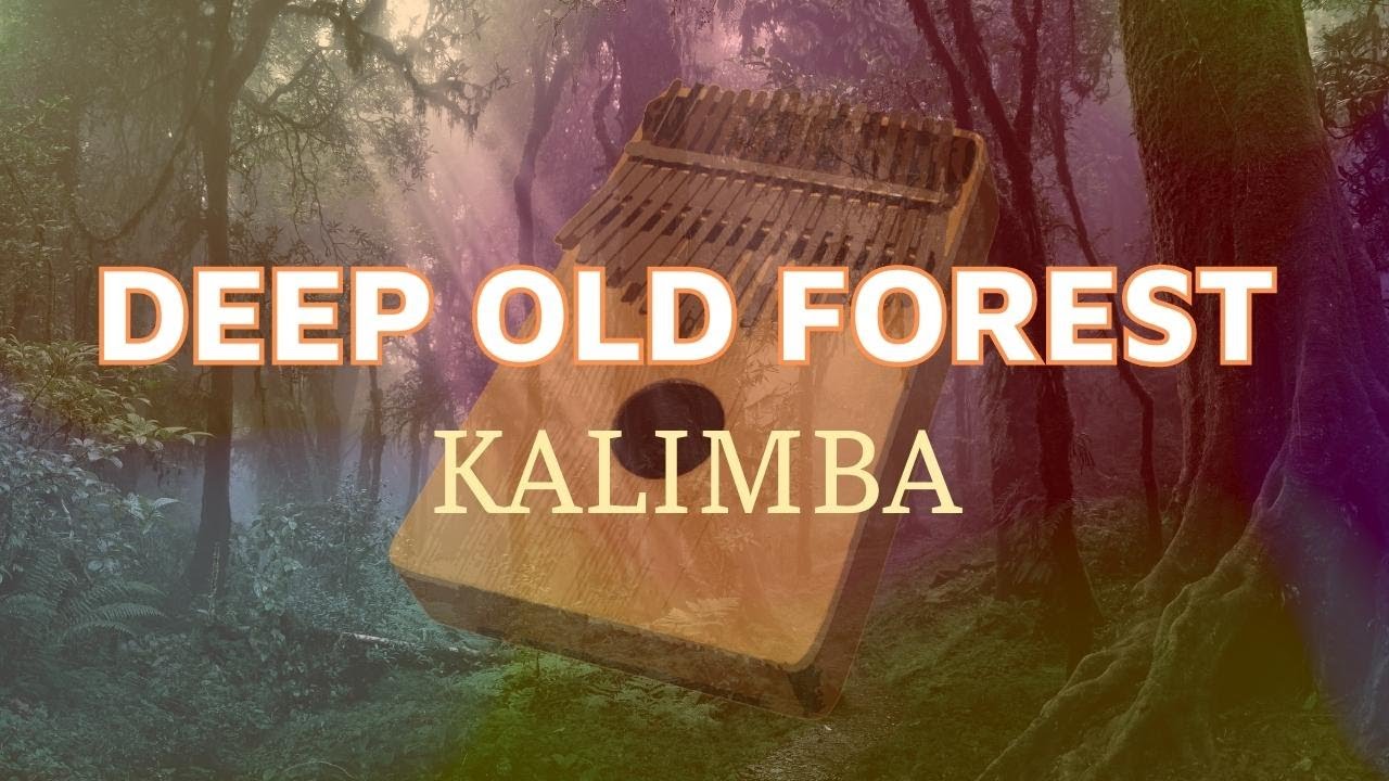 Deep Old Forest | KALIMBA - Meditative Relaxation Music 🙏Meditate and Study Effectively