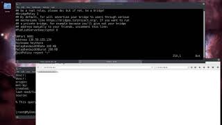 026 How to set up a Tor Relay Part 2