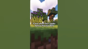 What is a split second decision you made what changed your life? / Reddit stories