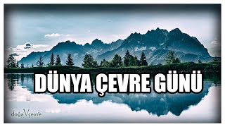 DÜNYA ÇEVRE GÜNÜ | 5 HAZİRAN