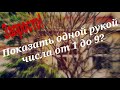 Как показать числа от 1 до 9 одной рукой?