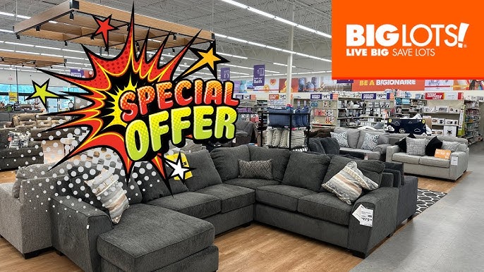 Big Lots So Many Sofas And Sectionals