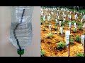 Plastic Bottle Drip Water Irrigation System Very Simple Easy #6 ll DIY home drip irrigation system