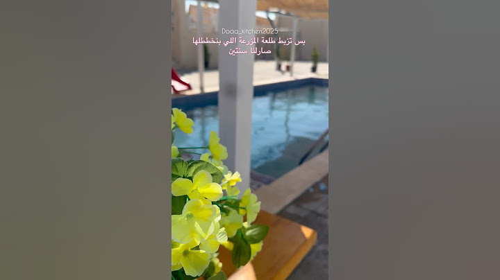 الفرحة مش سيعاني😂