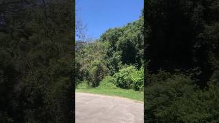 La Quebrada. Lules Tucumán Argentina