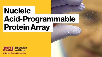 Nucleic Acid-Programmable Protein Array
