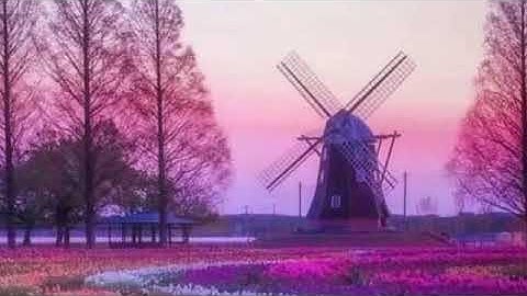 سوره يونس بصوت القارئ الشيخ احمد النفيس تلاوه رائعه