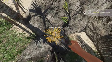 Stranded Deep Gameplay Part 1 Building a Shelter