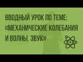 Вводный урок по теме: «Механические колебания и волны. Звук». Видеоурок по физике 9 класс