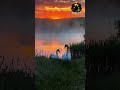 ✨ A bright morning begins with graceful steps 🦢|#shortvideo